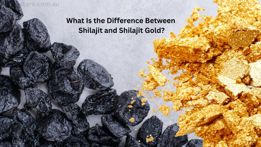 What Is the Difference Between Shilajit and Shilajit Gold?