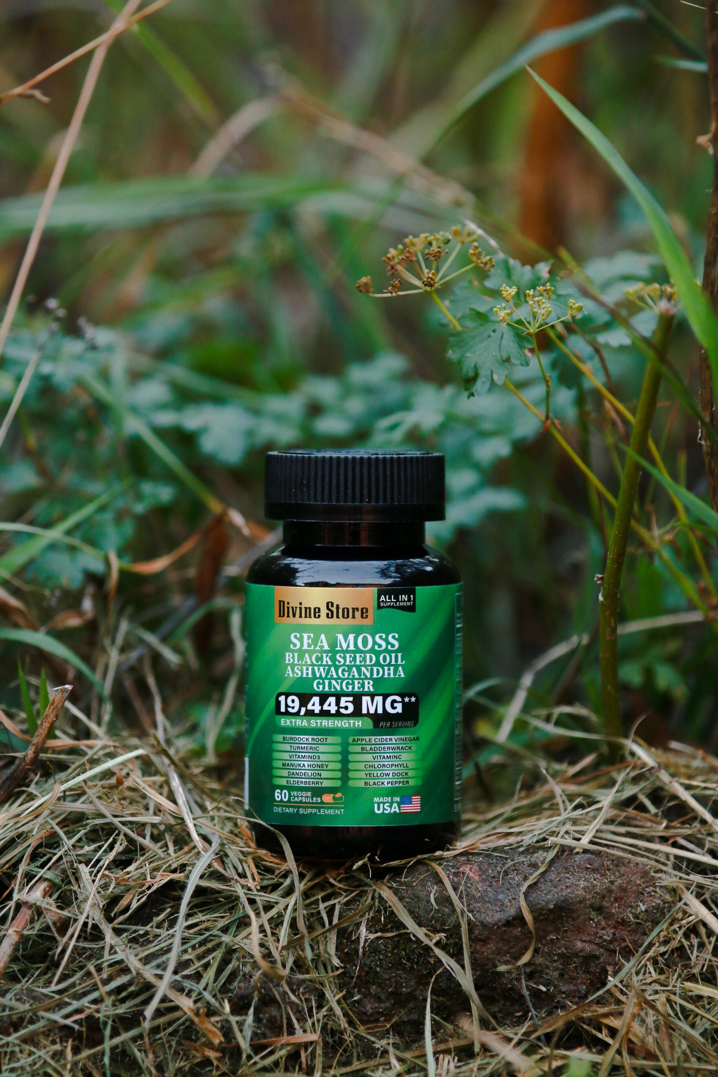 Sea Moss Ashwagandha Blend