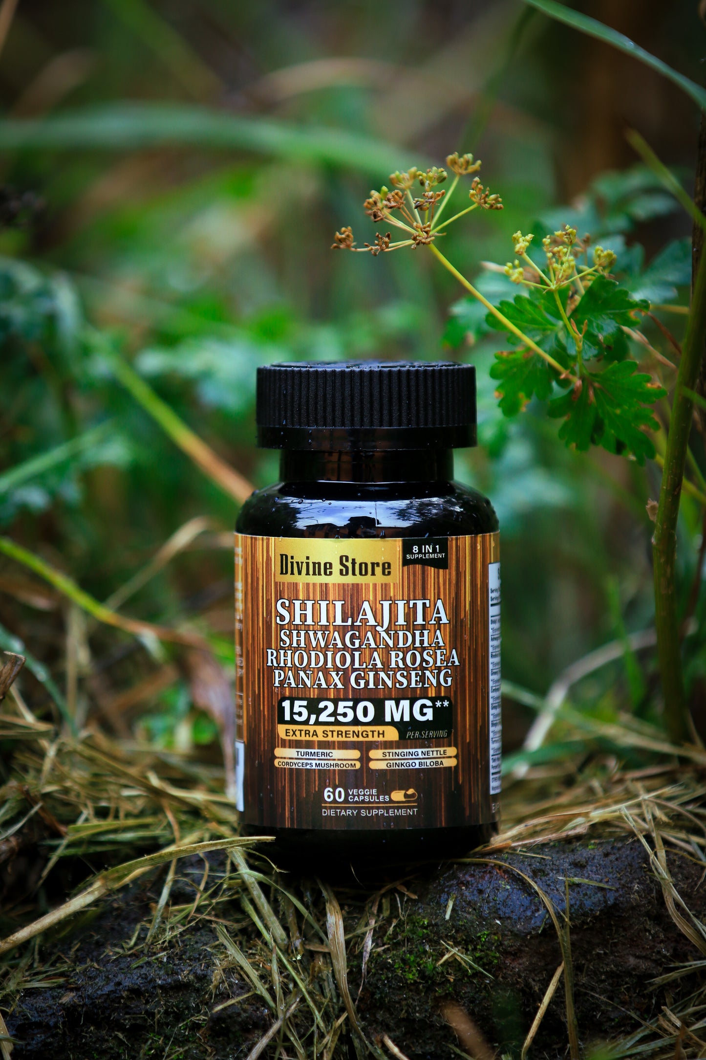 Pure Himalayan Shilajit Capsules | Pure Strength | Divine Store