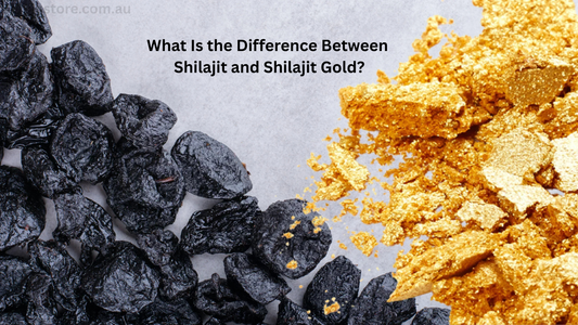 What Is the Difference Between Shilajit and Shilajit Gold?
