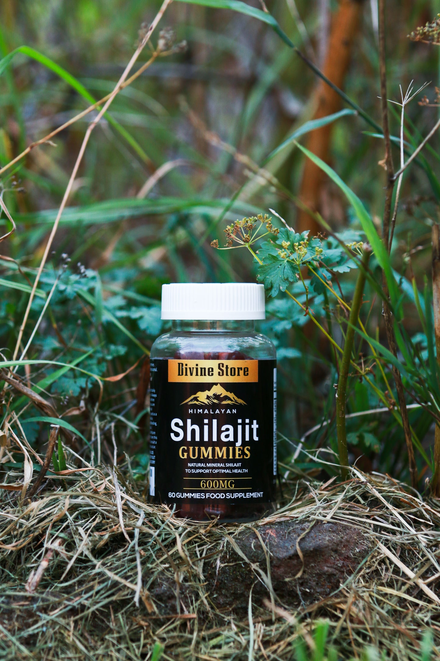 Shilajit Gummy Pure Himalayan Power for Energy, Focus &amp; Vitality